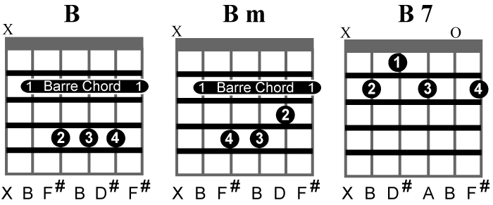 Often Used Open Guitar Chords.